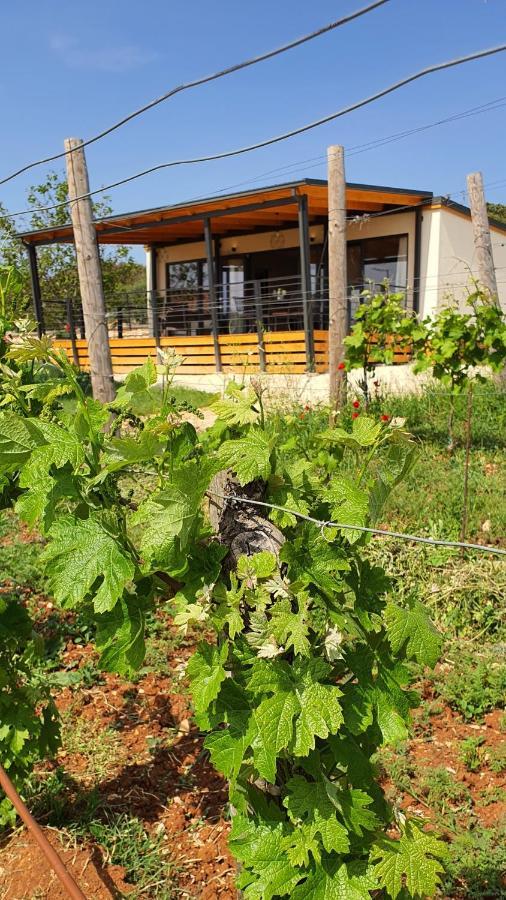 Collis Winery - Family & Friends - Mobilhome 罗维尼 外观 照片