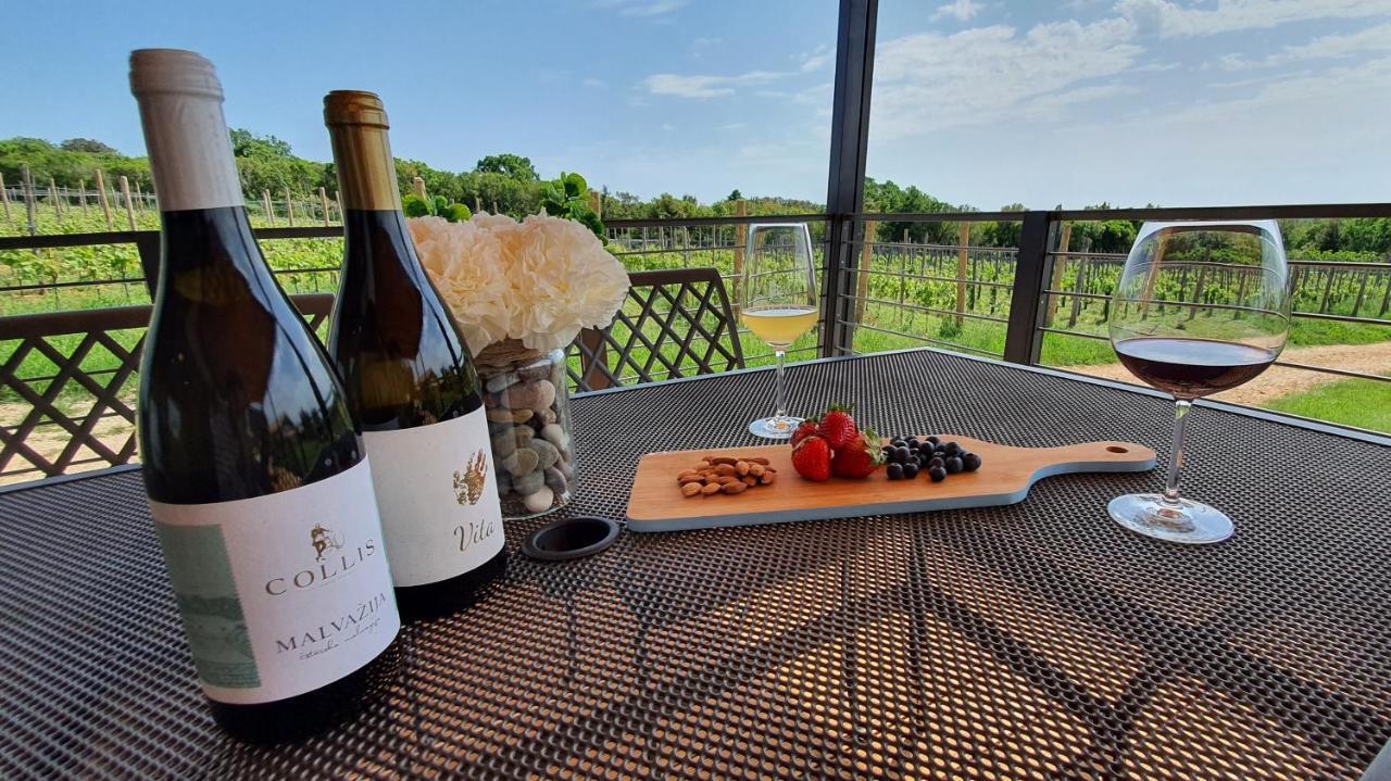 Collis Winery - Family & Friends - Mobilhome 罗维尼 外观 照片
