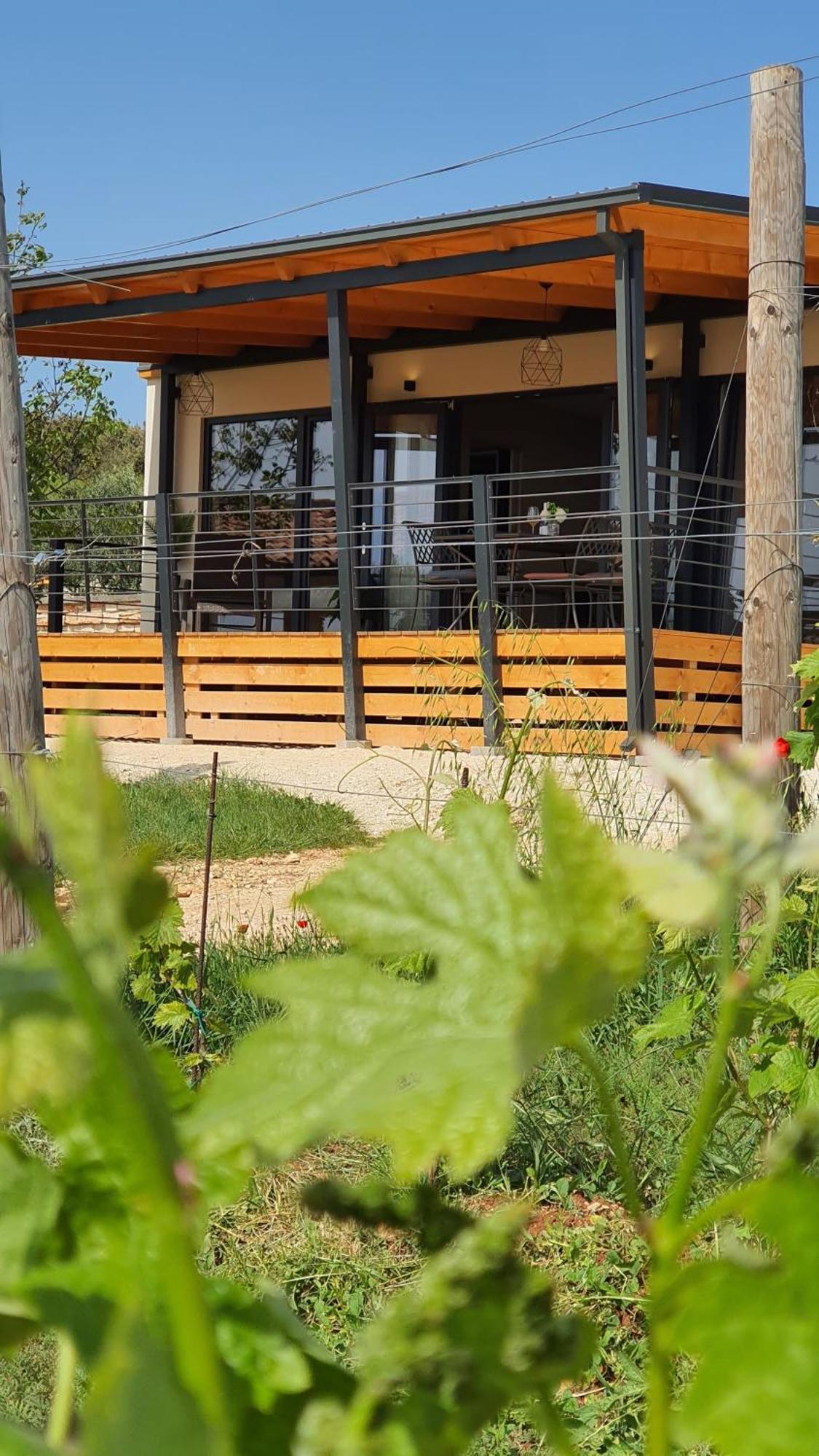 Collis Winery - Family & Friends - Mobilhome 罗维尼 外观 照片