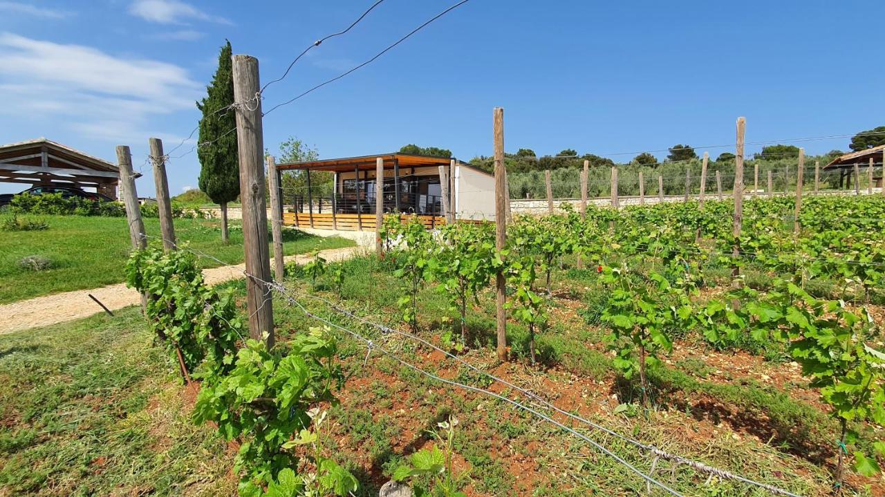 Collis Winery - Family & Friends - Mobilhome 罗维尼 外观 照片